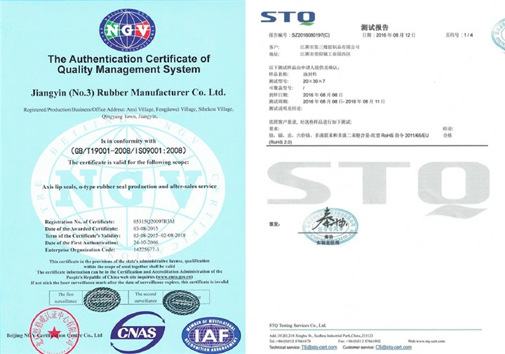 Corrosion Resistance FKM Rubber O-Rings for Ships Automobiles Aerospace Equipment